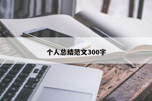 个人总结范文300字